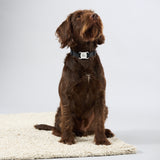 Zeluvi Adjustable Dog Collar with Smart GPS Tracker